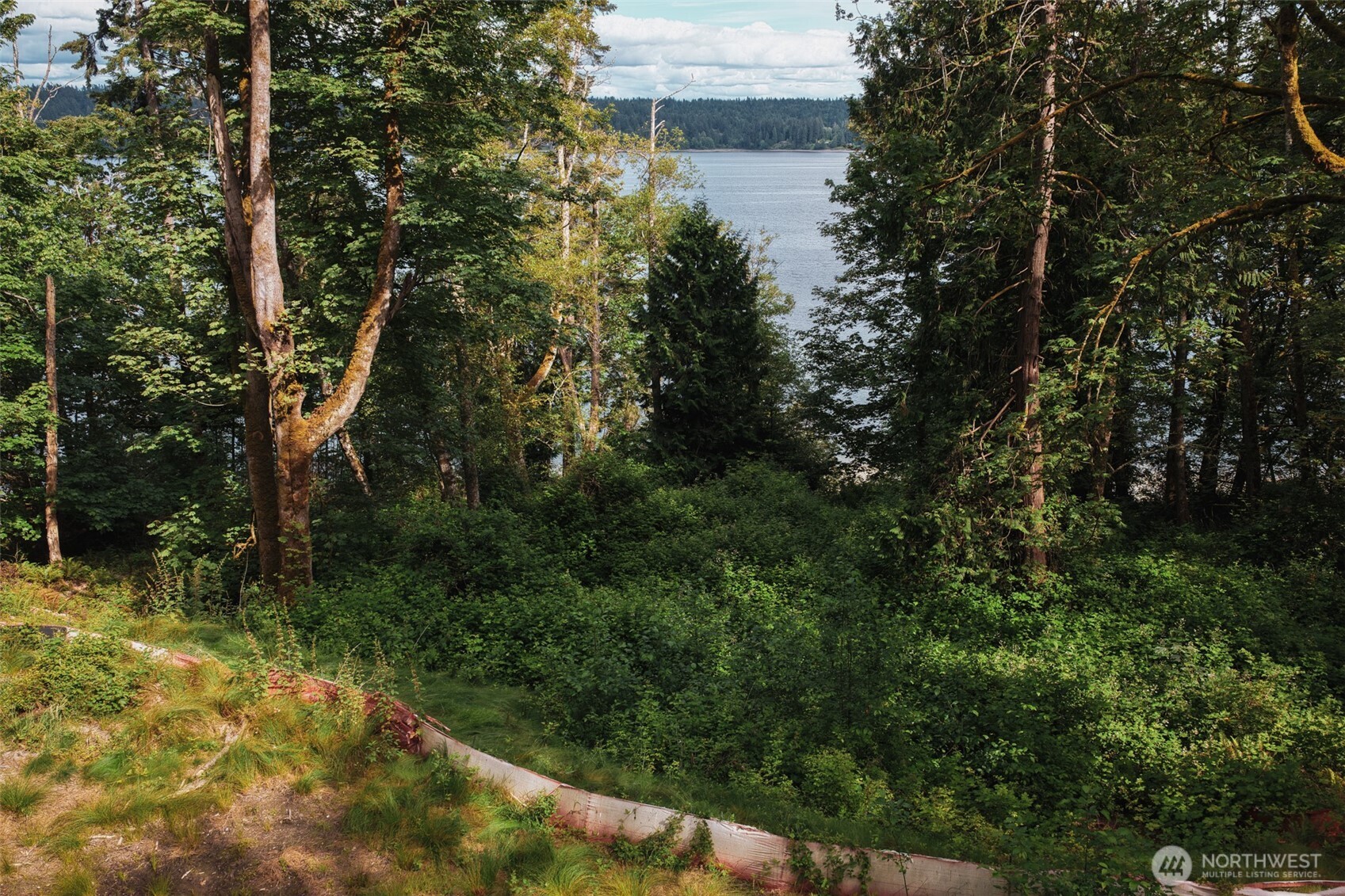 7099 Wilson Creek Road Property Photo 35