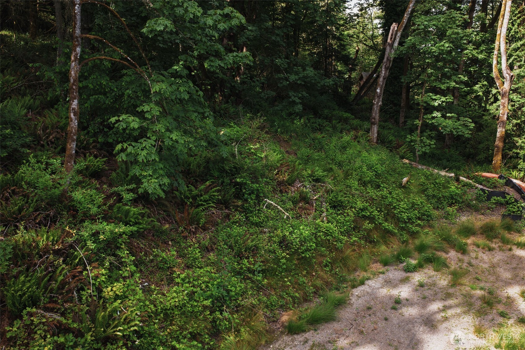7099 Wilson Creek Road Property Photo 37