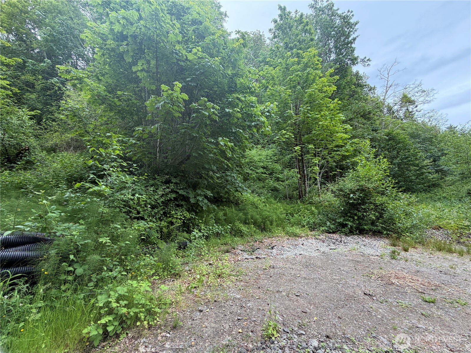 7095 Wilson Creek Road Property Photo 4