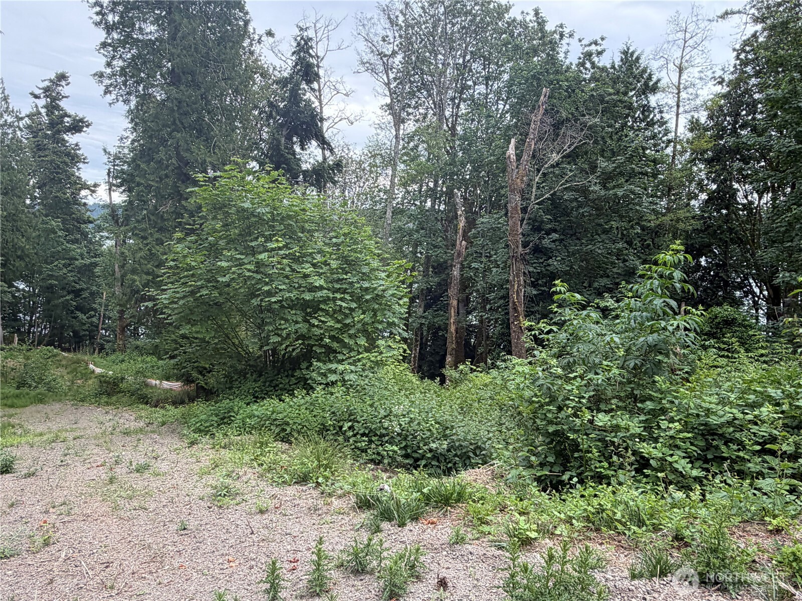 7095 Wilson Creek Road Property Photo 5