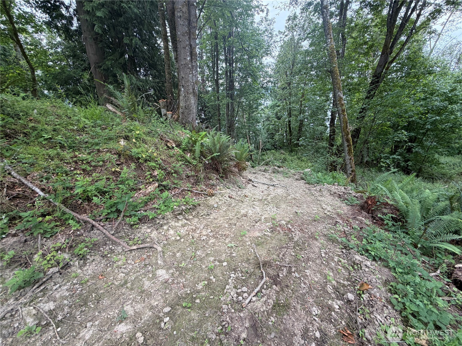 7095 Wilson Creek Road Property Photo 6