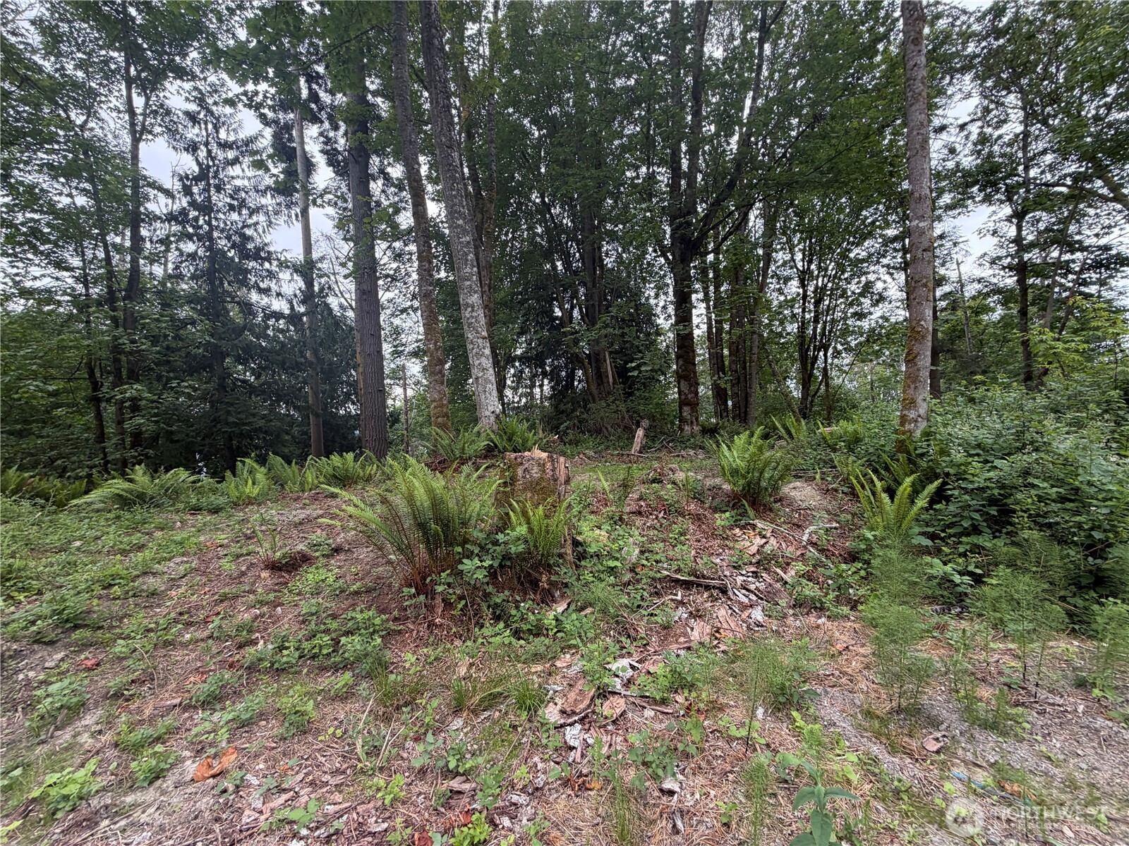 7095 Wilson Creek Road Property Photo 8