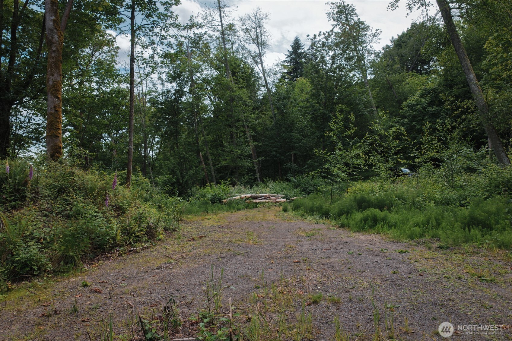 7095 Wilson Creek Road Property Photo 19