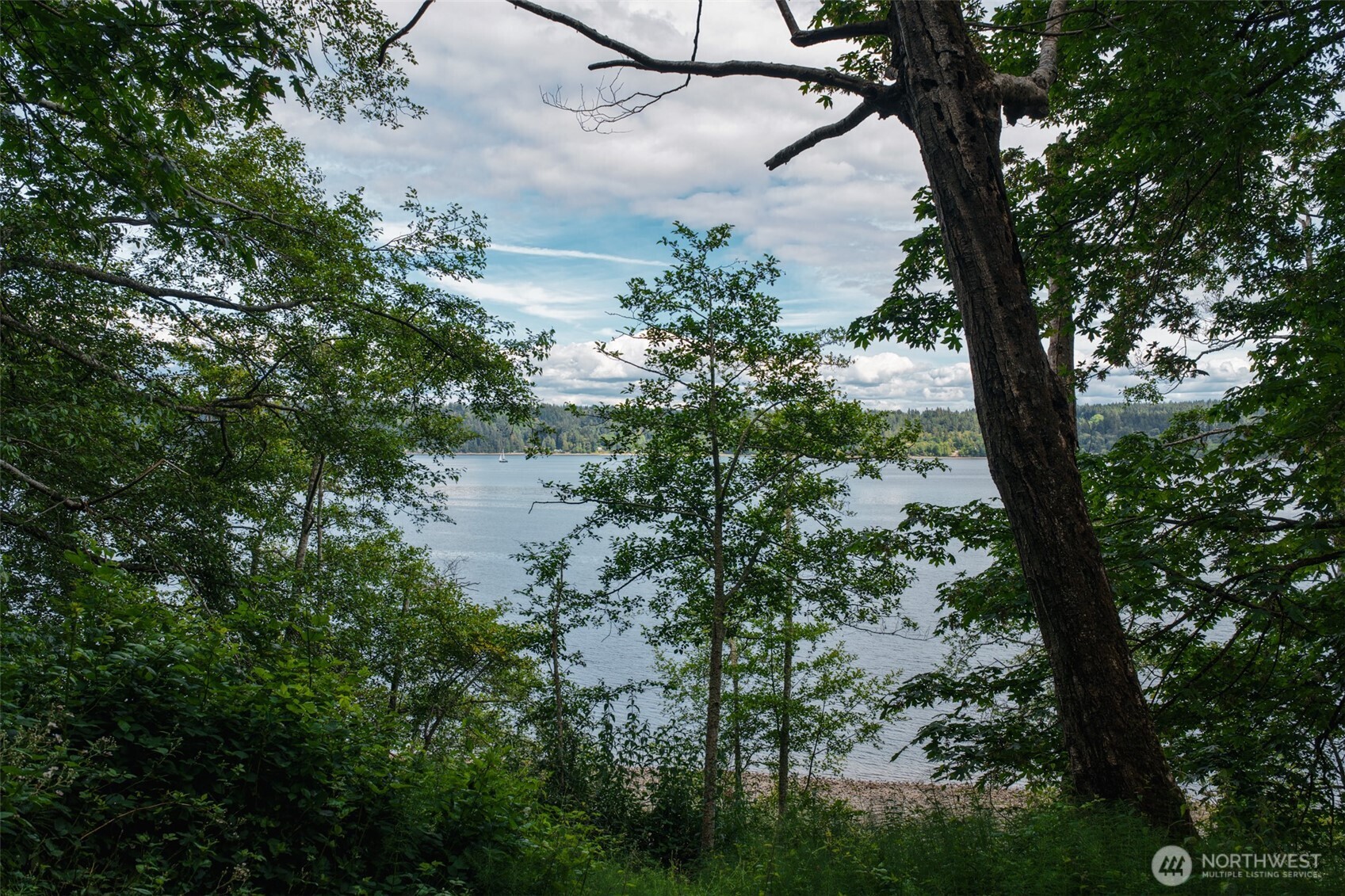 7095 Wilson Creek Road Property Photo 21