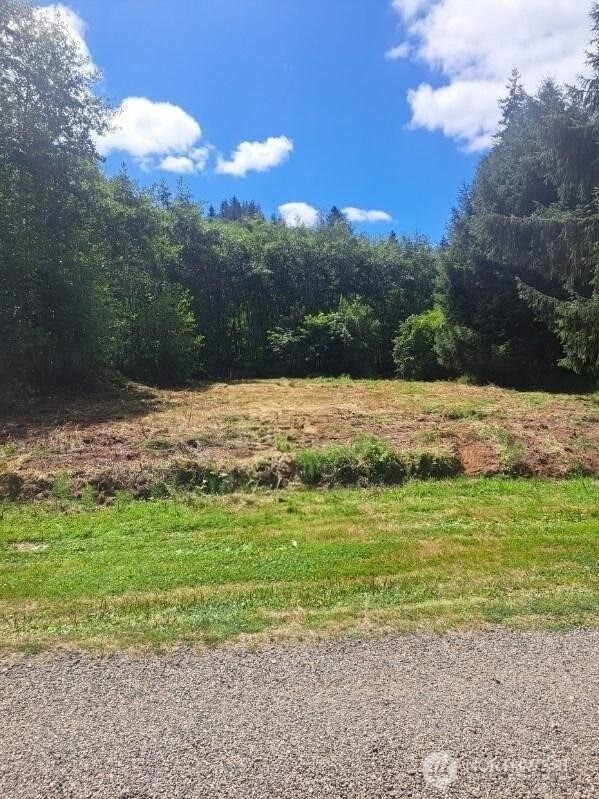0 Xx E Cowlitz Street Property Photo 4