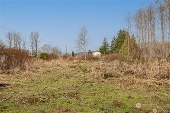 0 Xx E Cowlitz Street Property Photo 6