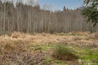 0 Xx E Cowlitz Street Property Photo 8