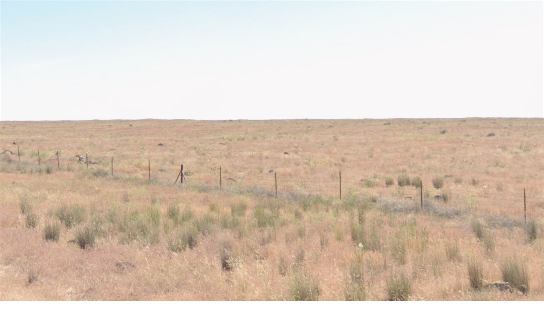 161782003 161782003 Property Photo 1