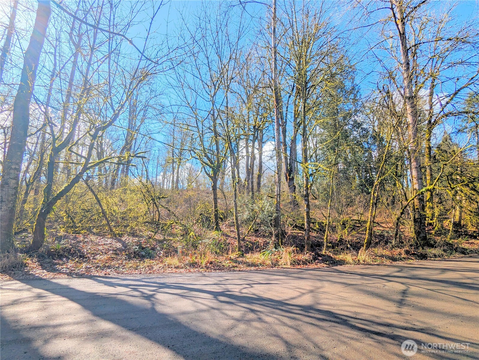 17400 Se 298th Street Property Photo 9