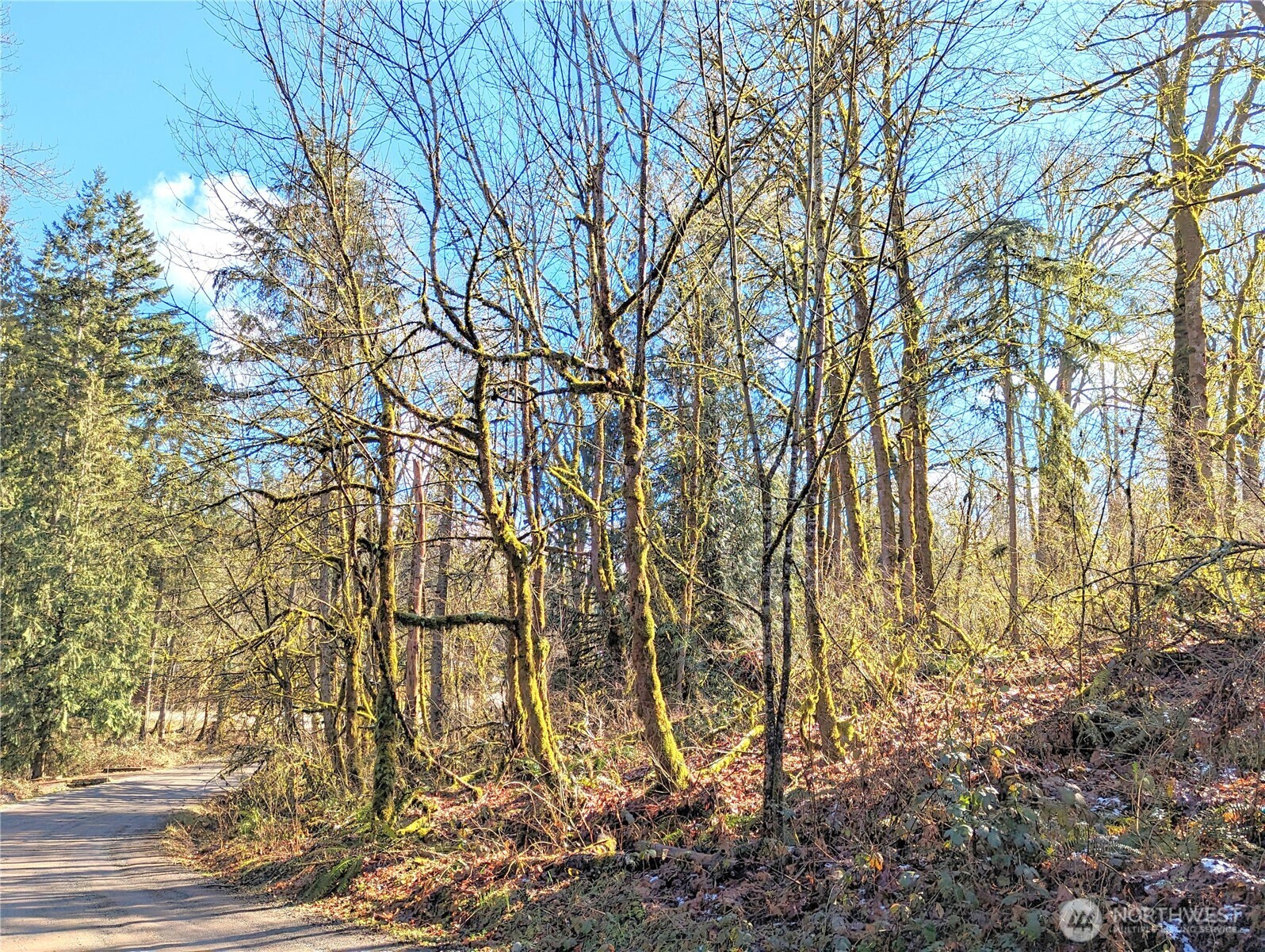 17400 Se 298th Street Property Photo 25