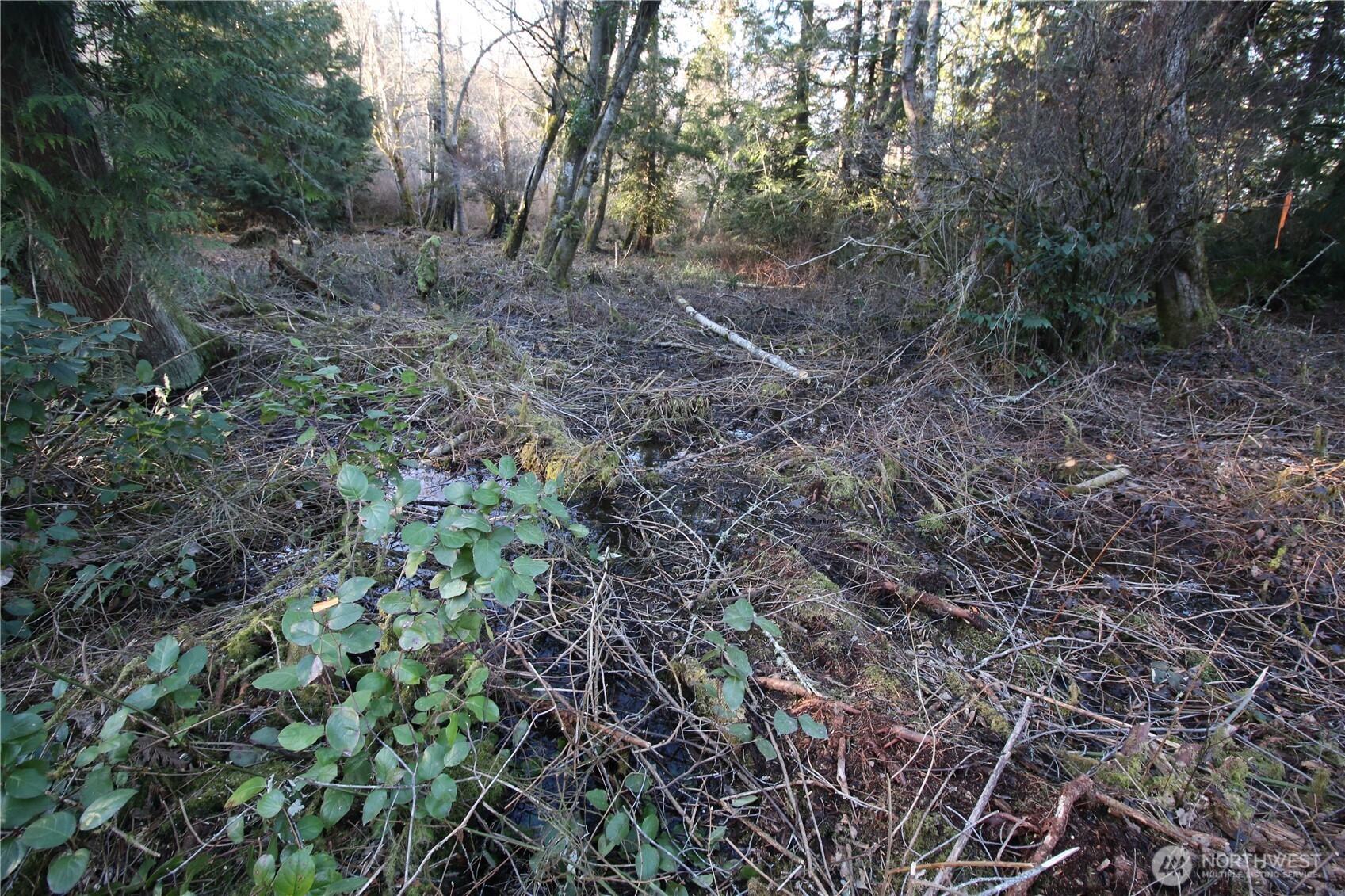 0 91st Ave Property Photo 4