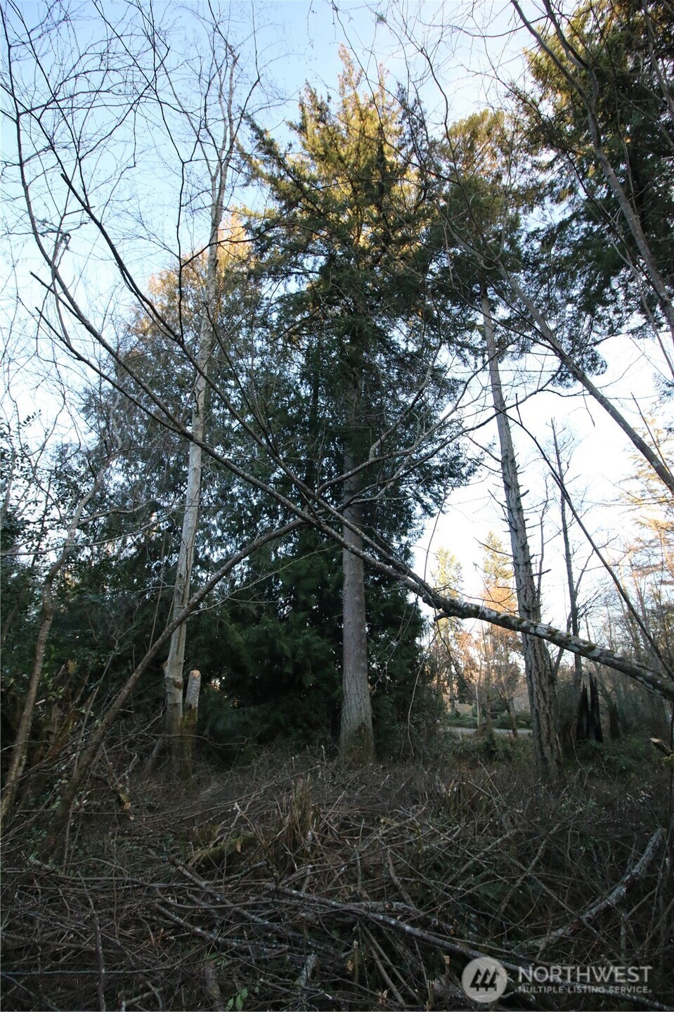 0 91st Ave Property Photo 19
