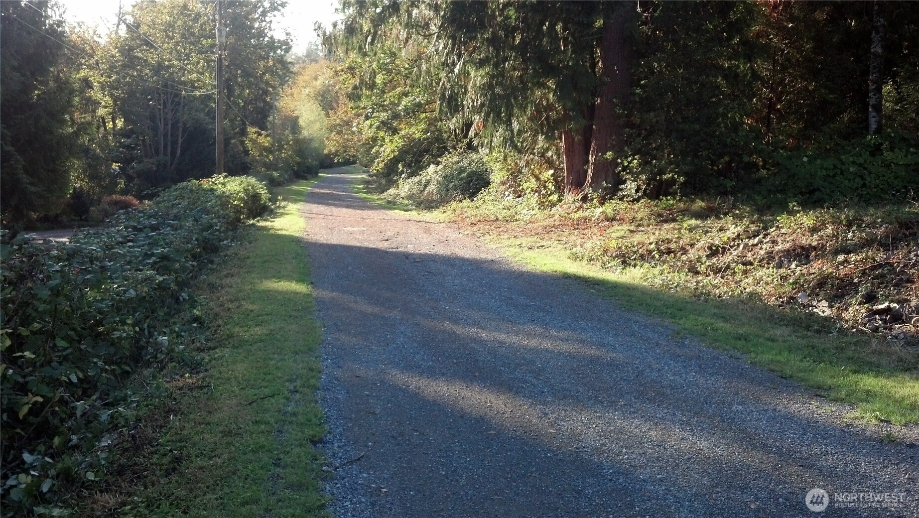 16345 Tiger Mountain Road Property Photo 3