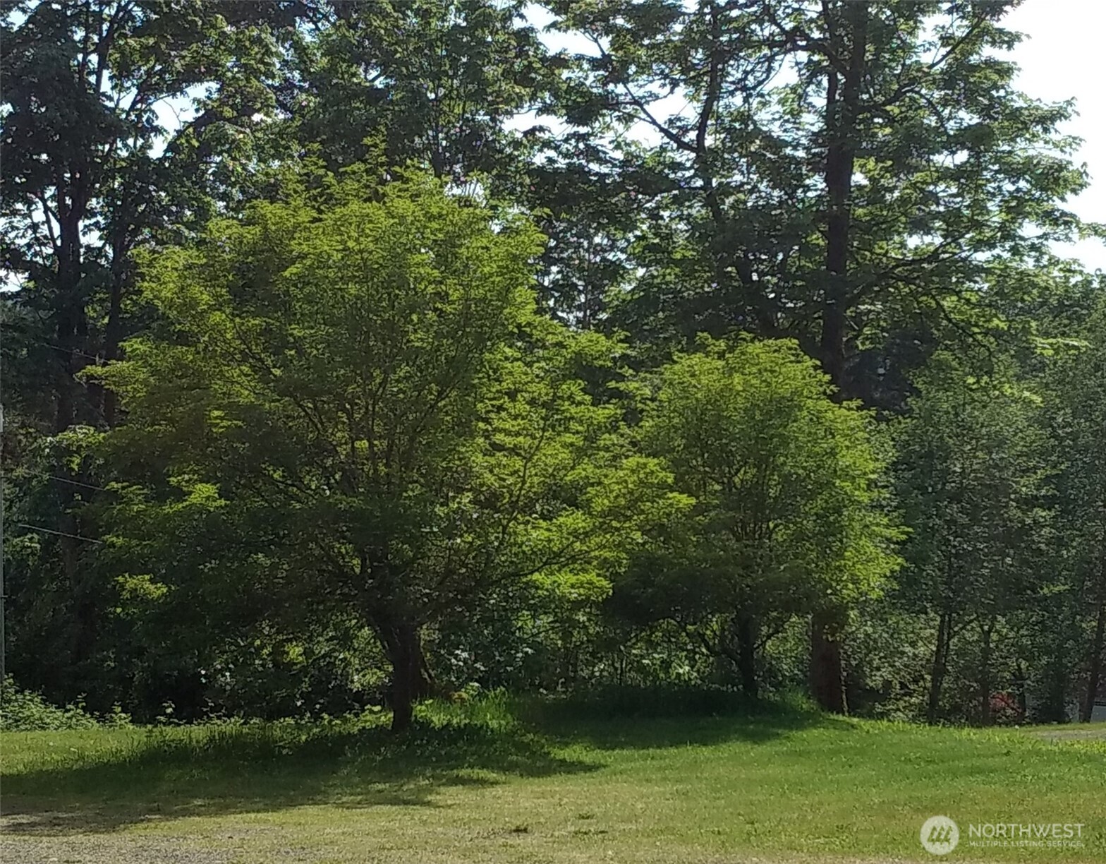 16345 Tiger Mountain Road Property Photo 6