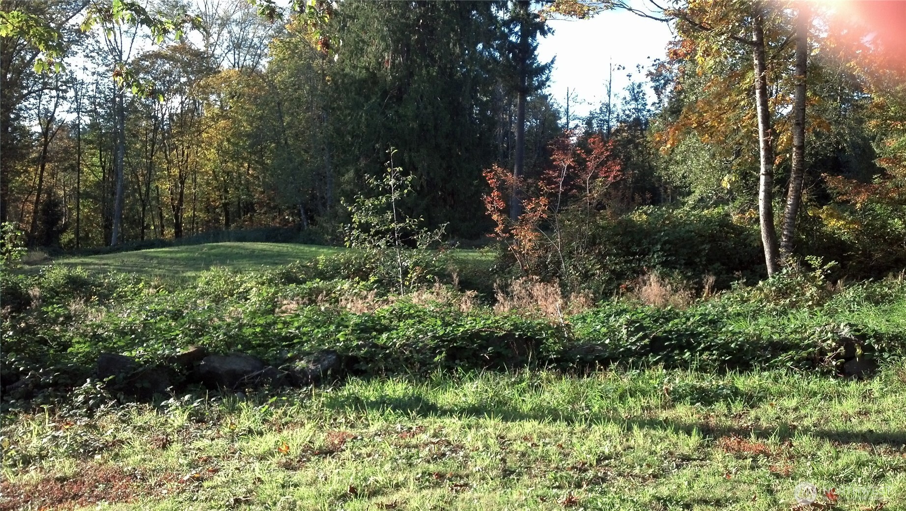 16345 Tiger Mountain Road Property Photo 7