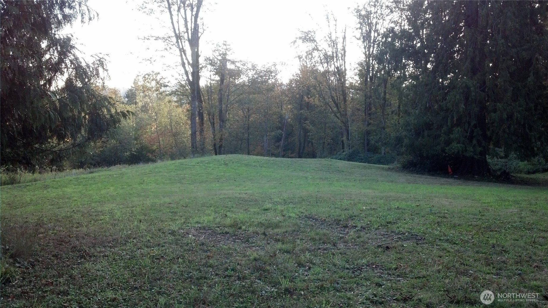 16345 Tiger Mountain Road Property Photo 8