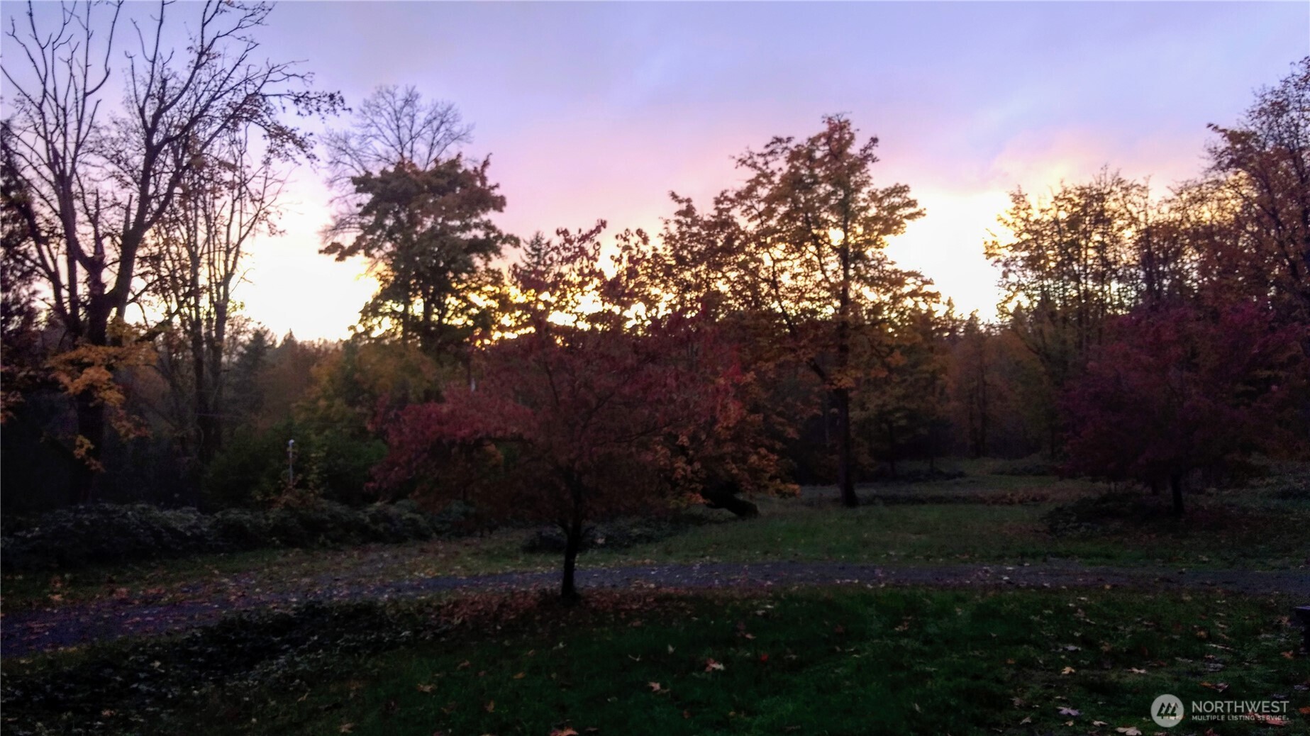 16345 Tiger Mountain Road Property Photo 10