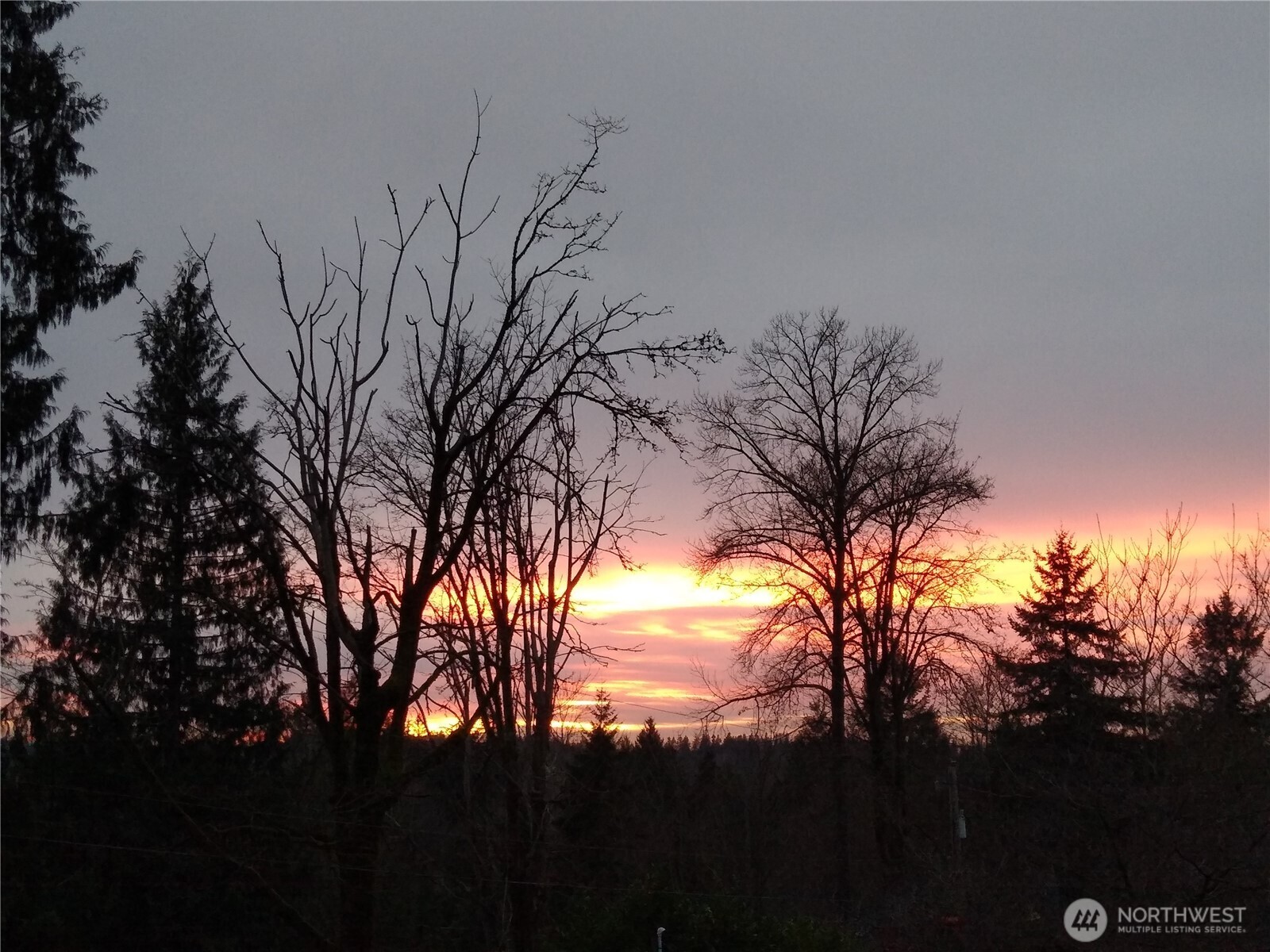 16345 Tiger Mountain Road Property Photo 11