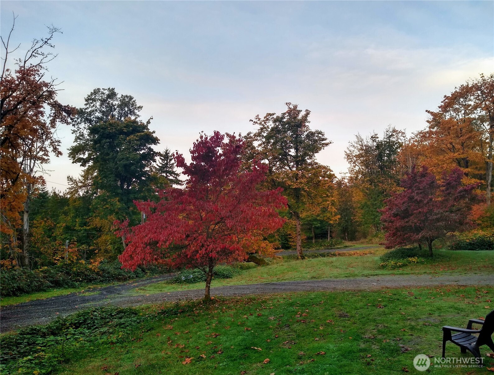 16345 Tiger Mountain Road Property Photo 12