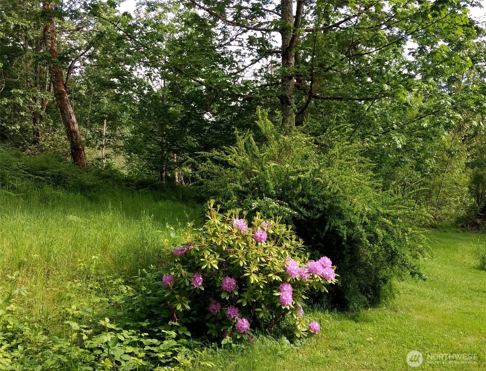 16345 Tiger Mountain Road Property Photo 13