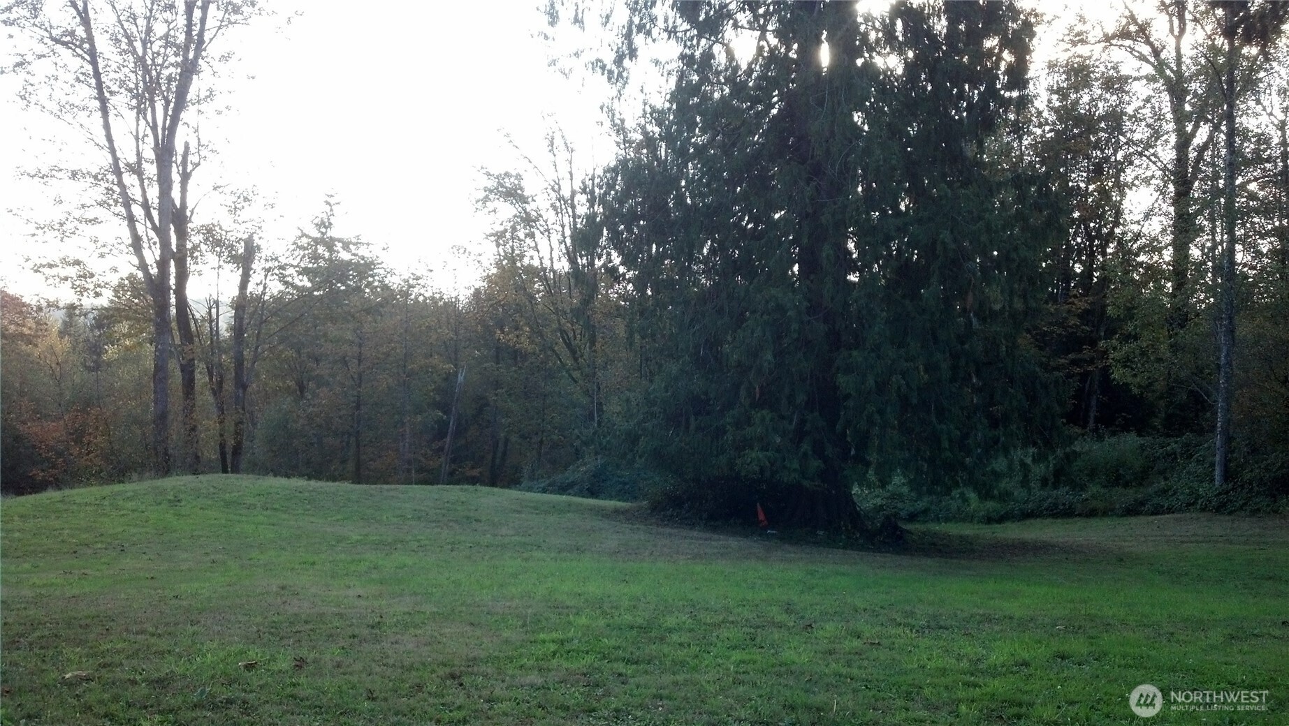 16345 Tiger Mountain Road Property Photo 14
