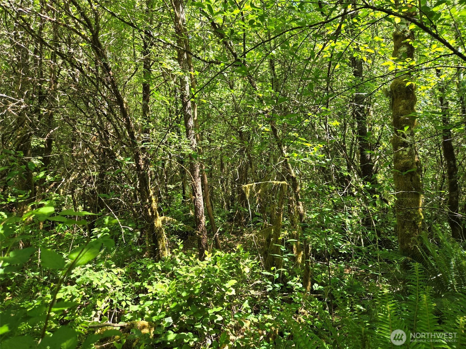 256 Walker Road Property Photo 4