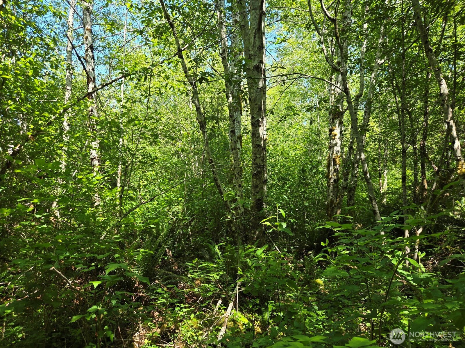 256 Walker Road Property Photo 7