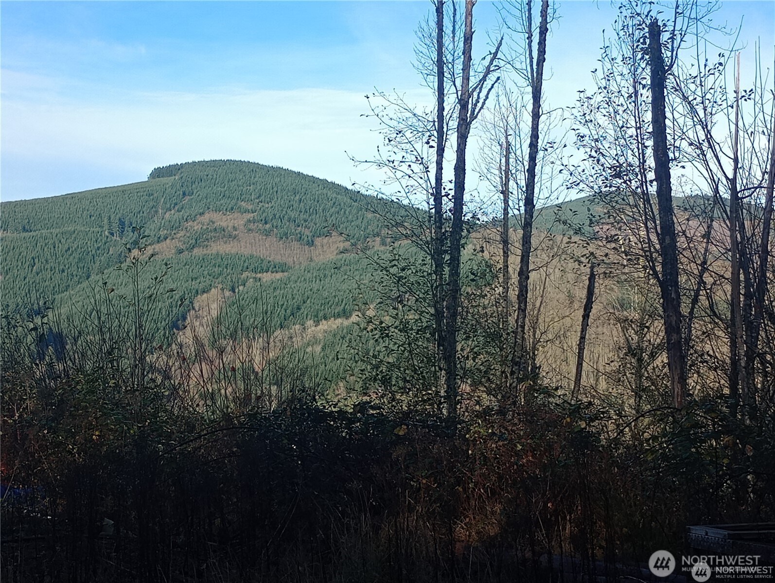 167 Wagner Road Property Photo 3