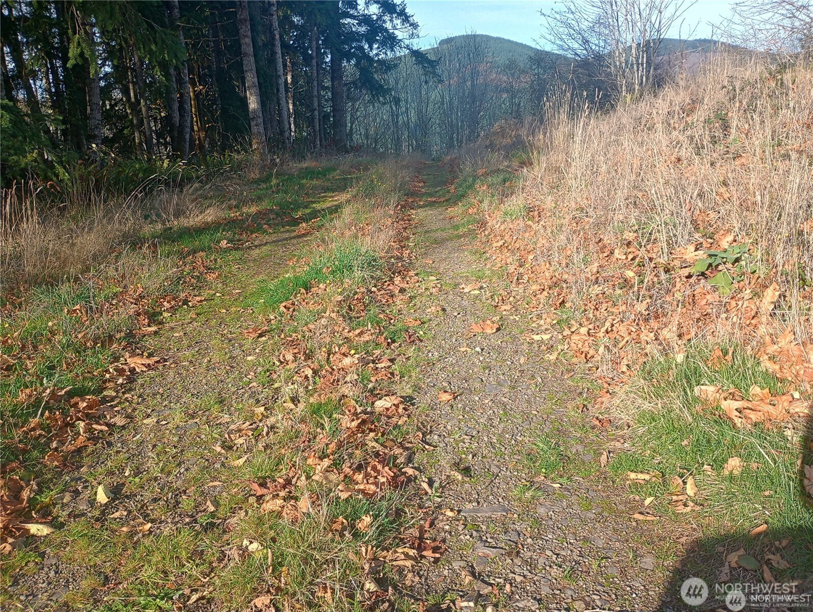 167 Wagner Road Property Photo 5