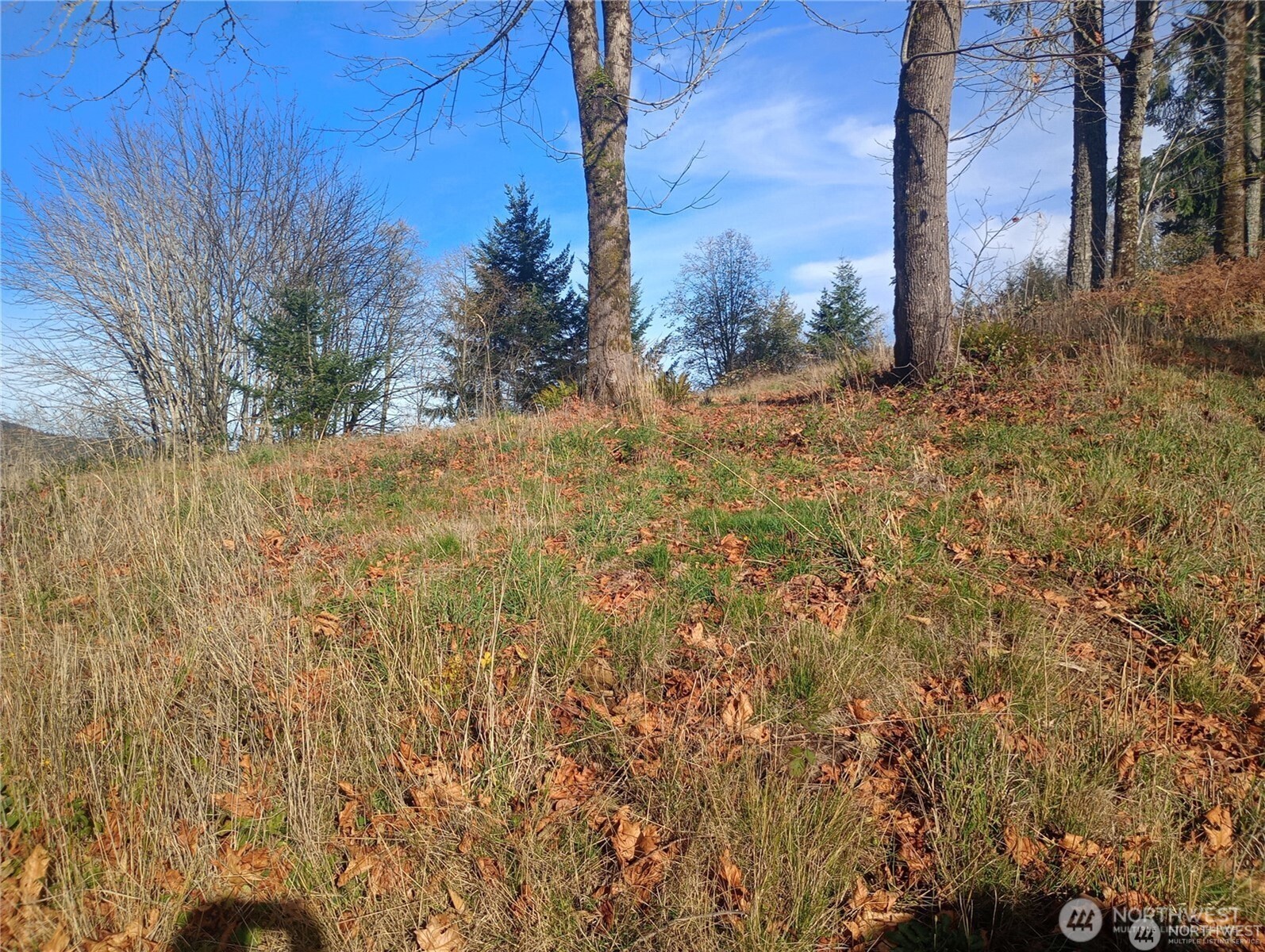 167 Wagner Road Property Photo 8
