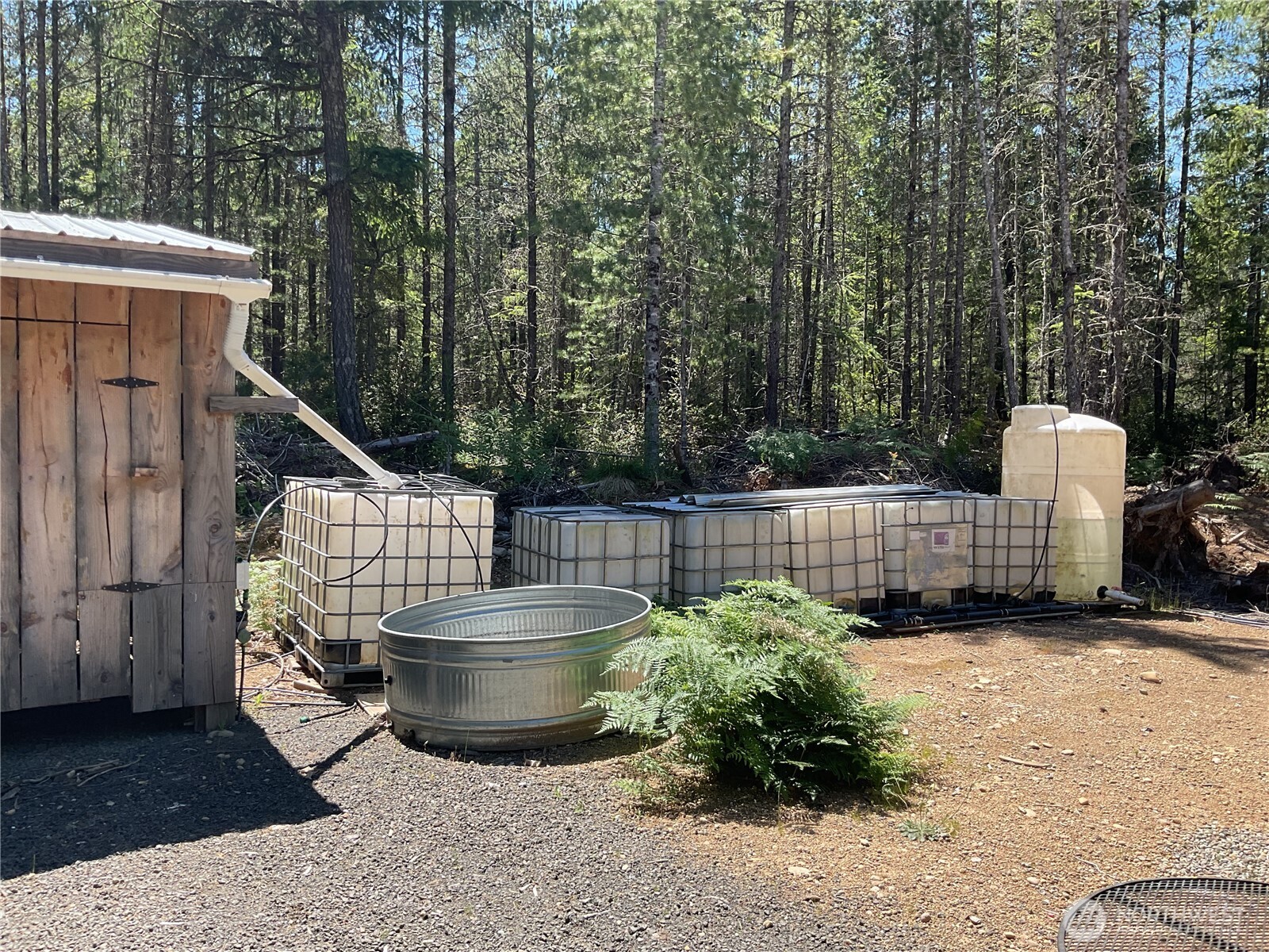 0 Lot 5 Ne Shoe Lake Road Property Photo 12