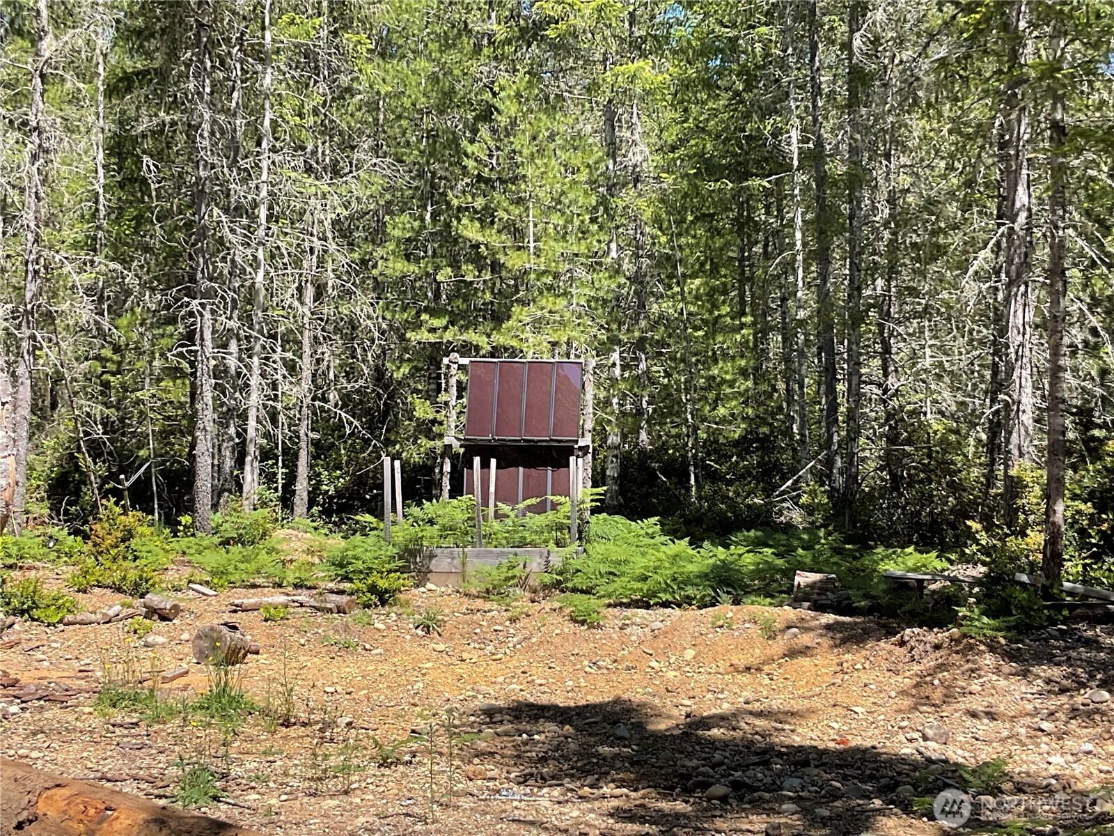 0 Lot 5 Ne Shoe Lake Road Property Photo 13
