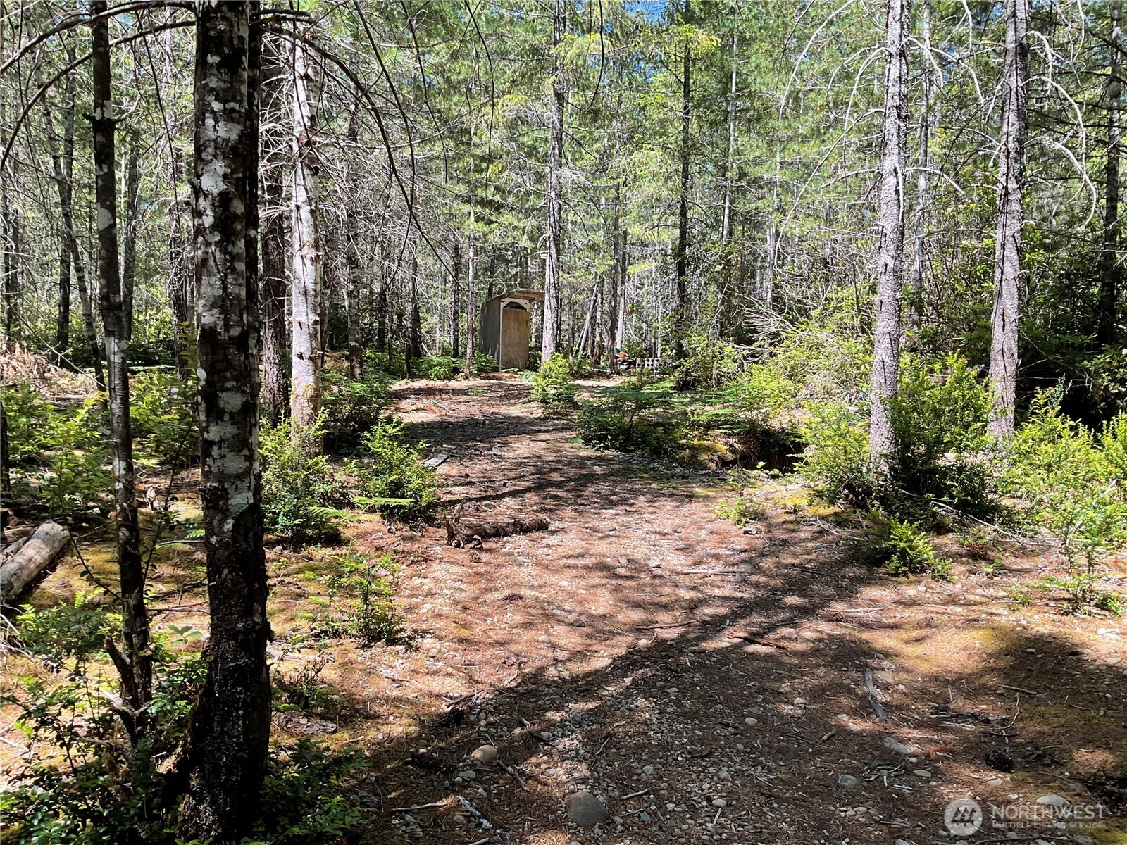 0 Lot 5 Ne Shoe Lake Road Property Photo 14