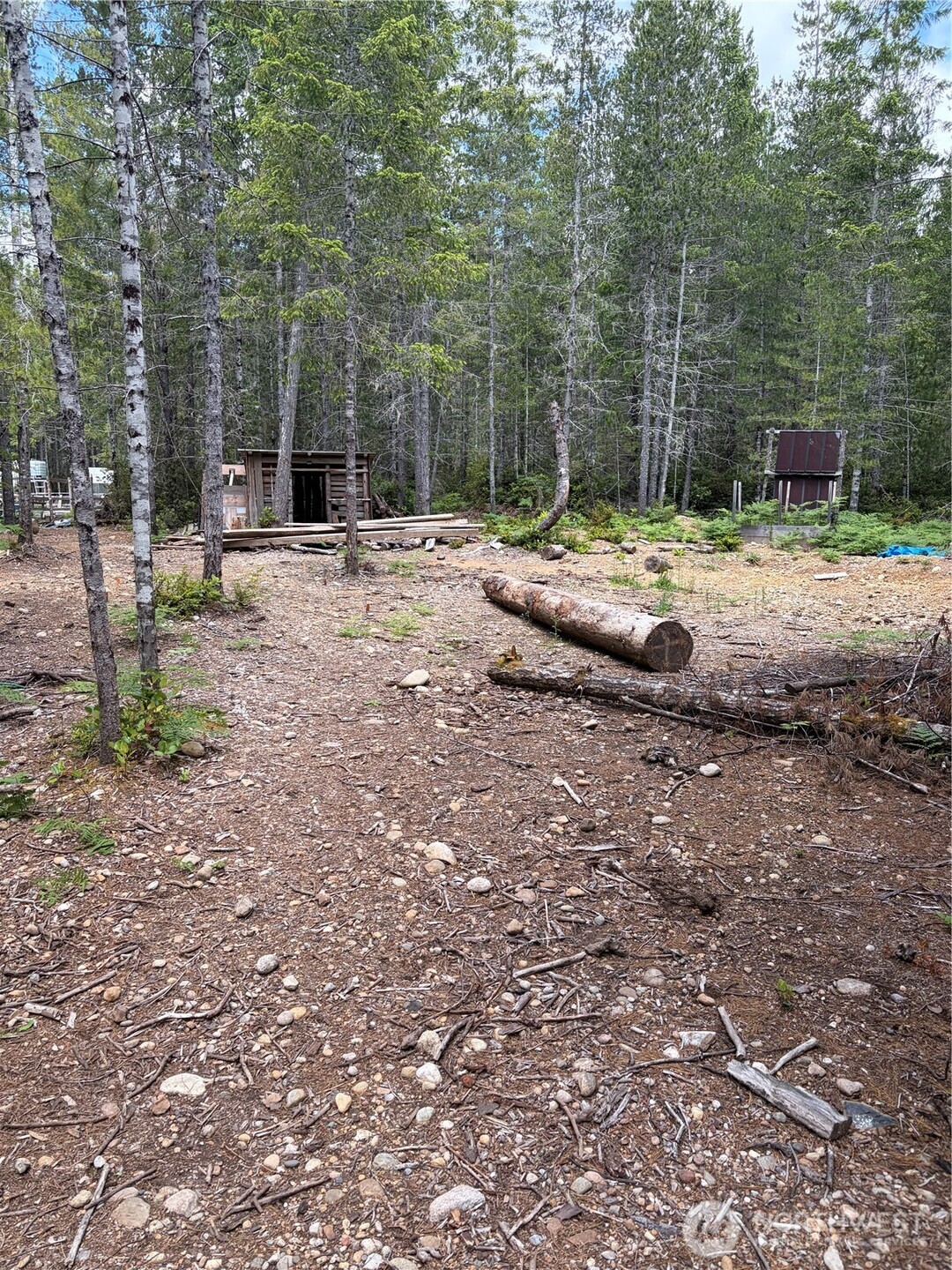 0 Lot 5 Ne Shoe Lake Road Property Photo 21