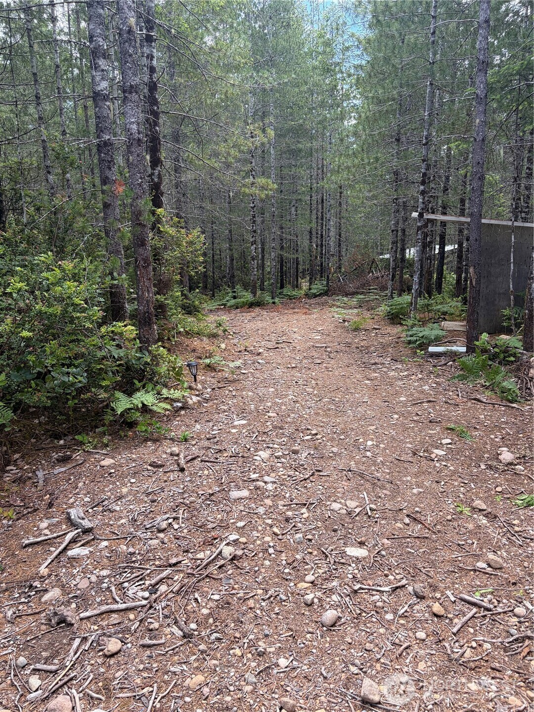 0 Lot 5 Ne Shoe Lake Road Property Photo 22