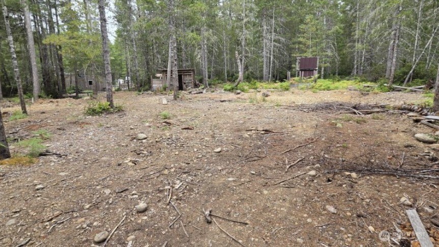 0 Lot 5 Ne Shoe Lake Road Property Photo 25
