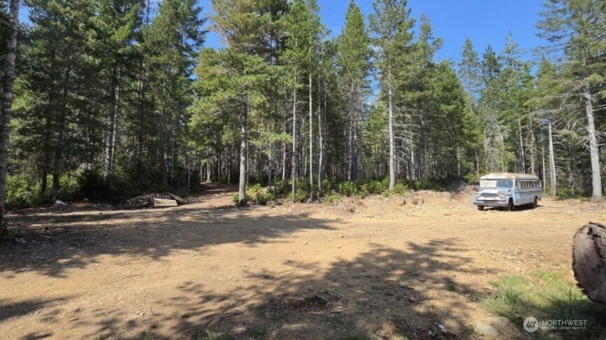 0 Lot 5 Ne Shoe Lake Road Property Photo 26