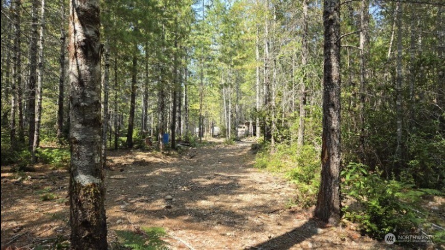0 Lot 5 Ne Shoe Lake Road Property Photo 28
