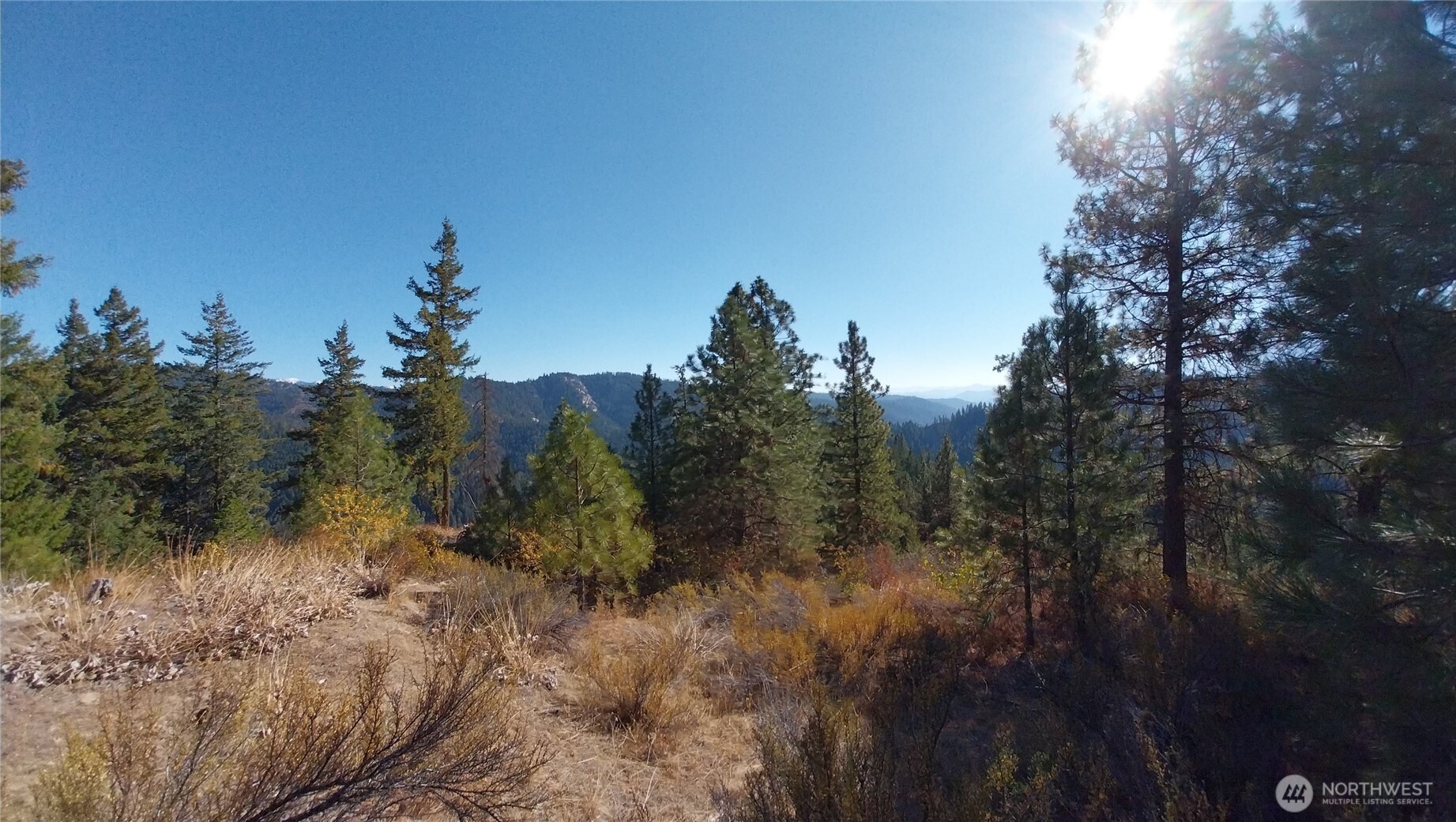 11685 Sunitsch Canyon Rd Property Photo 5