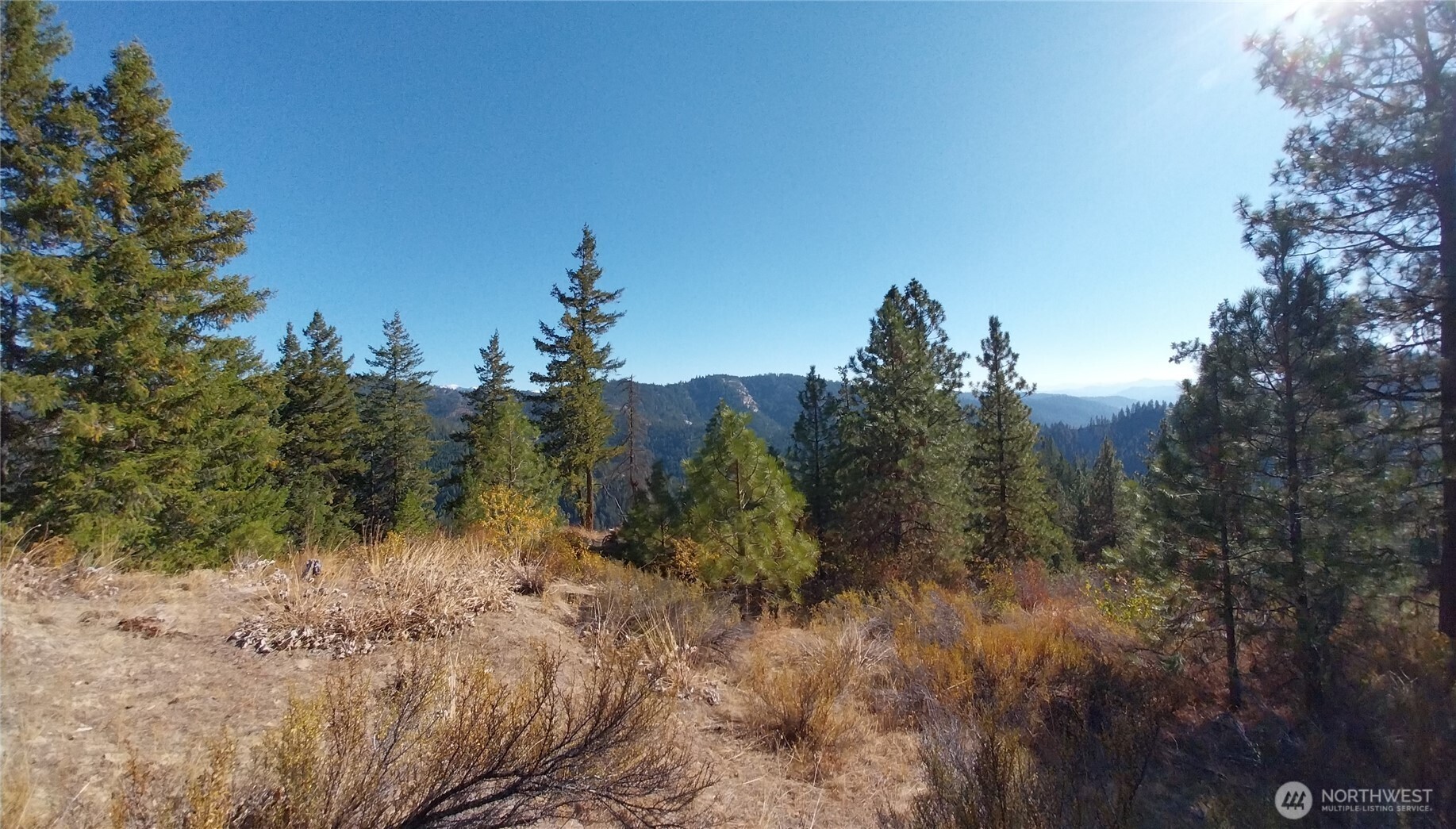 11685 Sunitsch Canyon Rd Property Photo 6