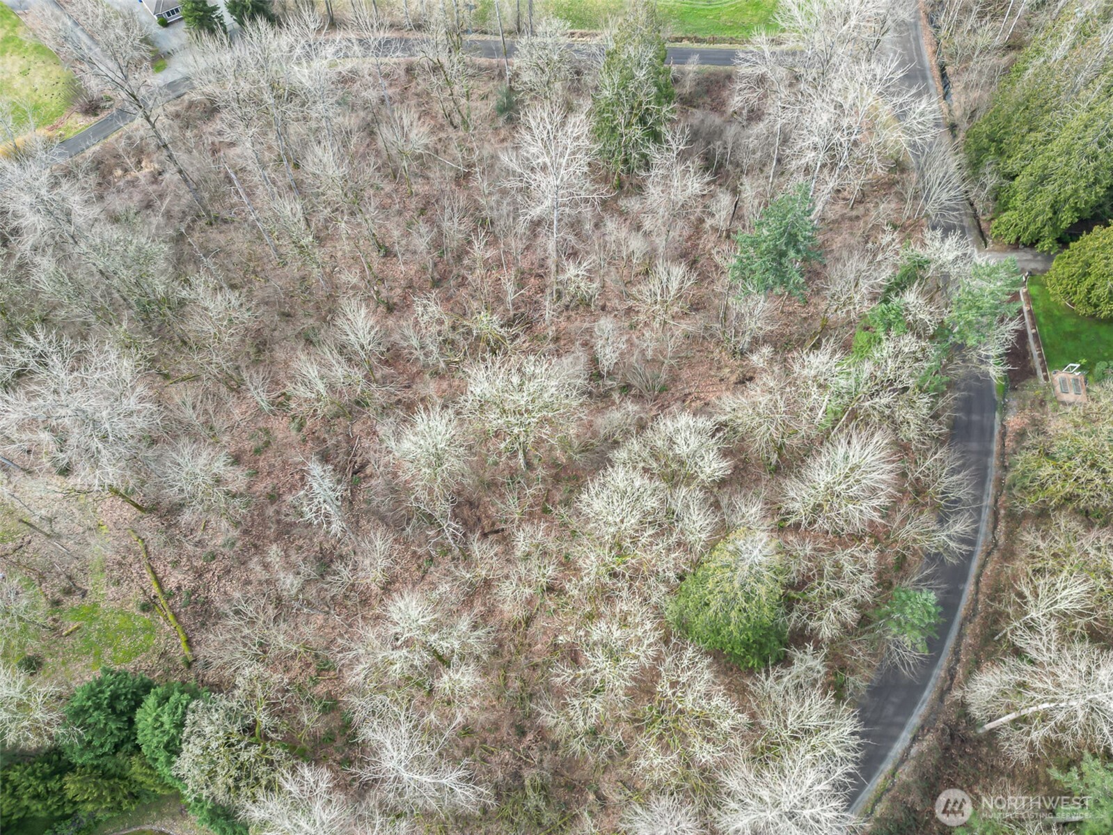 17400 Se 298th Street Property Photo 14