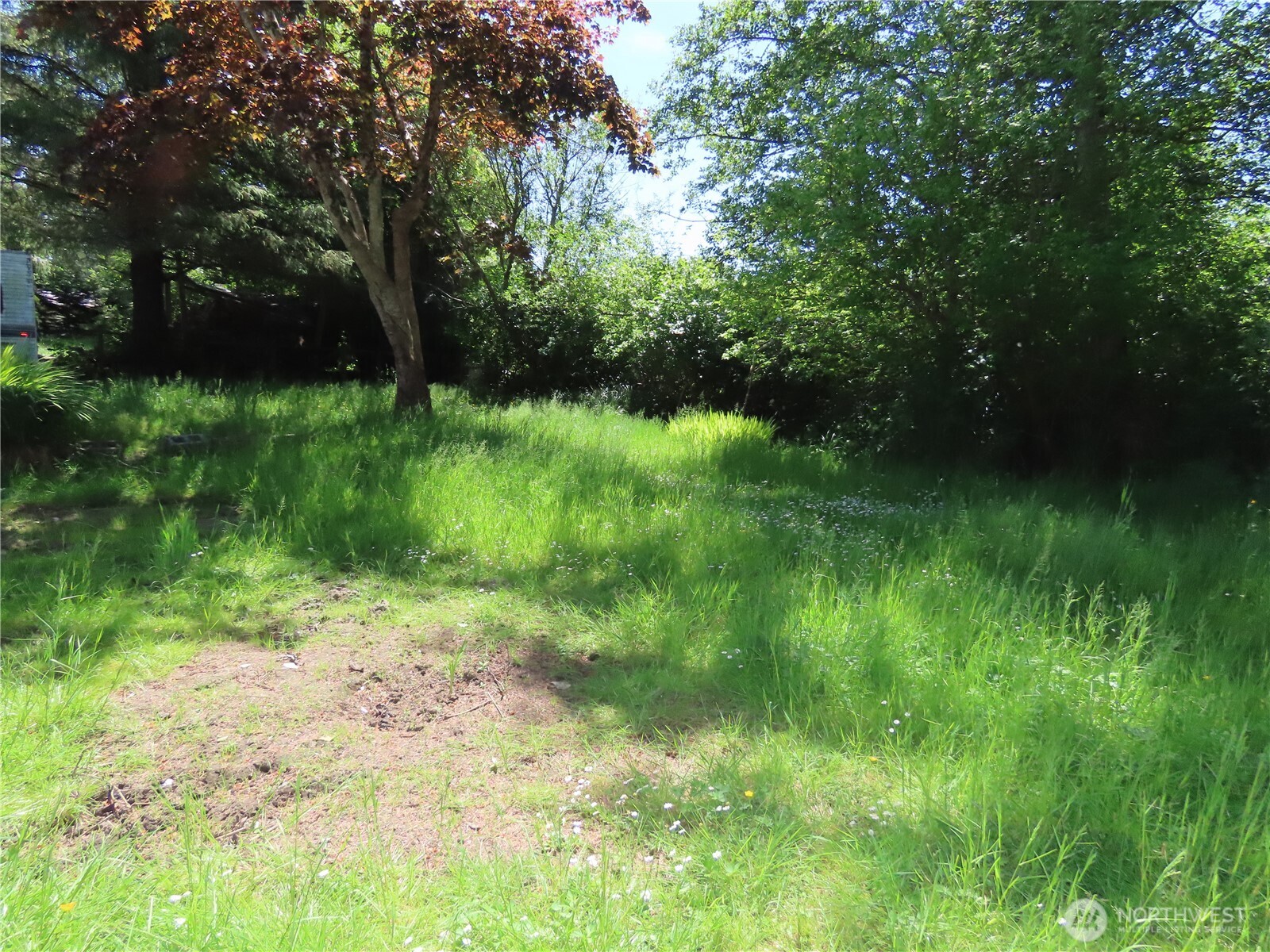 1047 Pine Street Property Photo 18