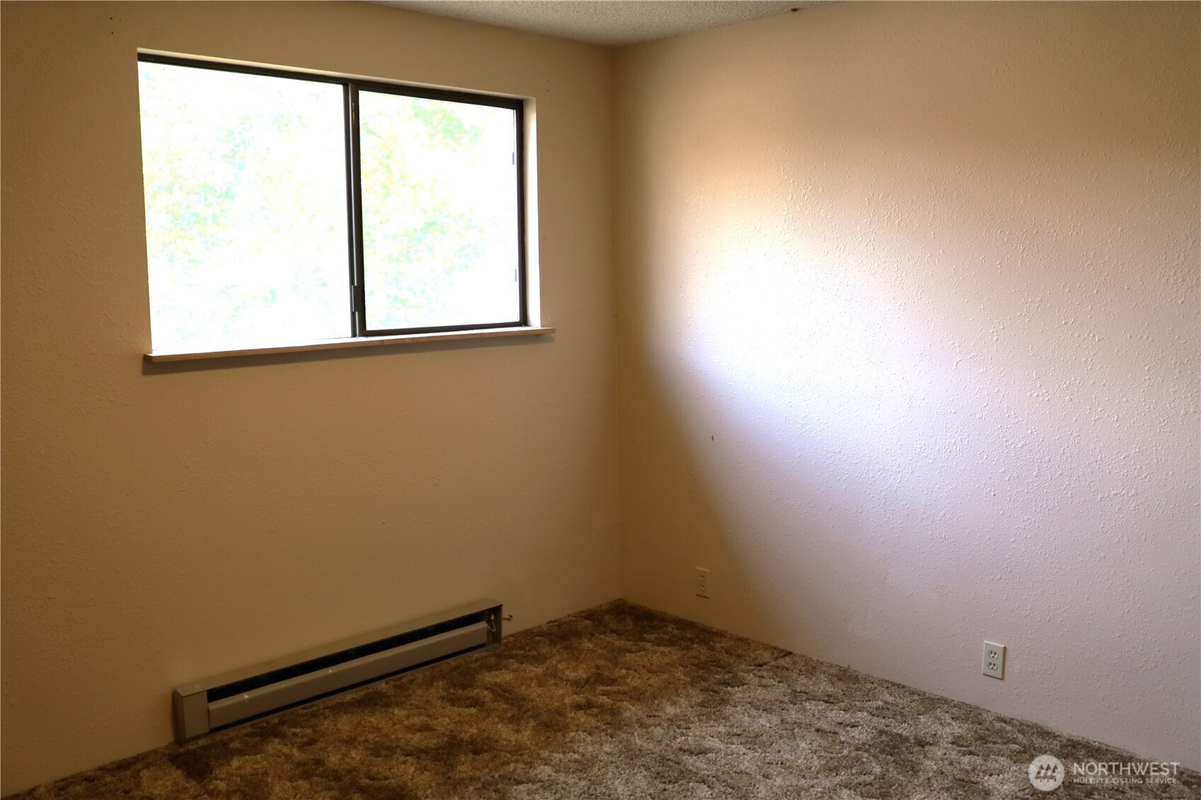 135 Eveline Street Property Photo 12