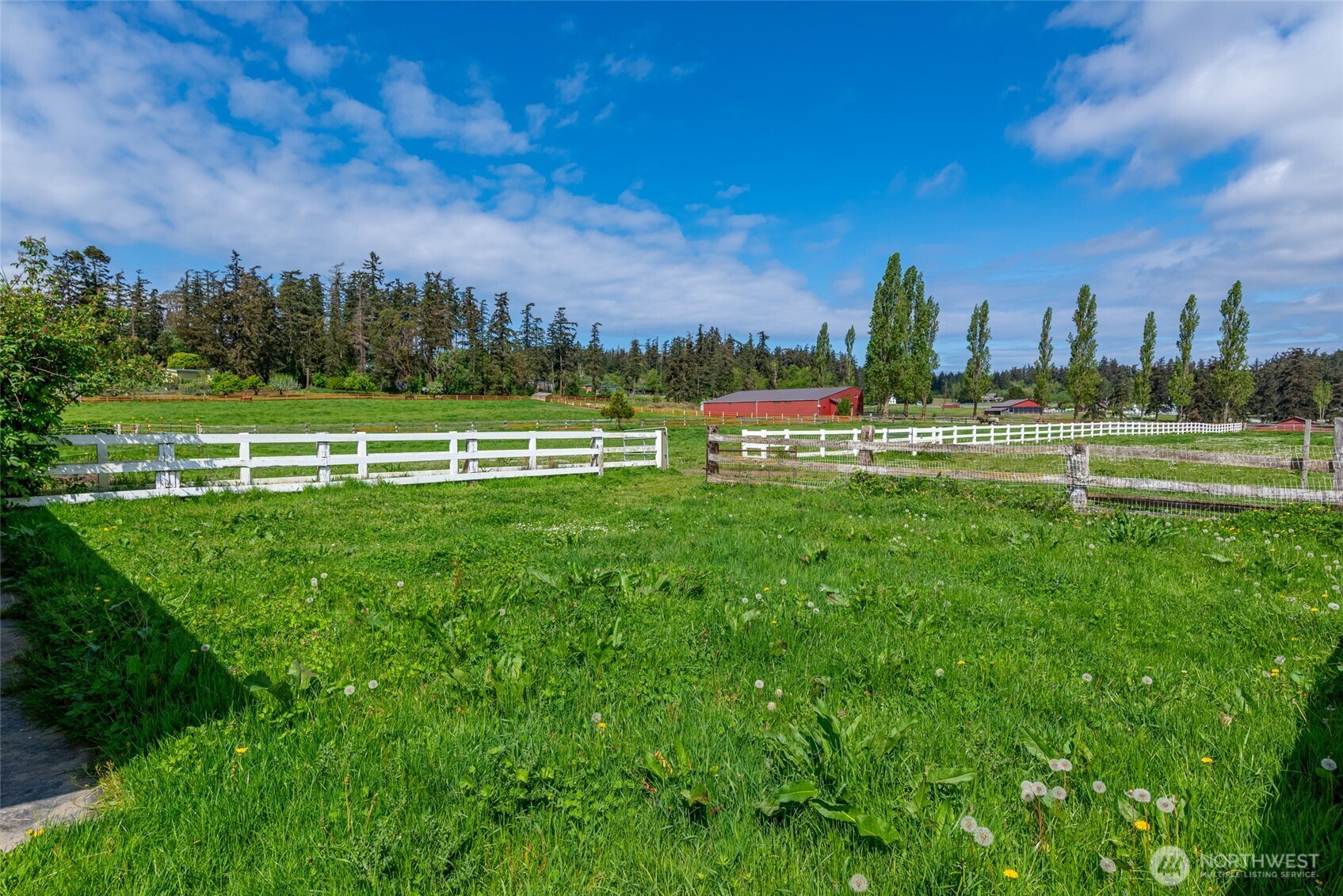 5392 Shore Meadow Road Property Photo 35