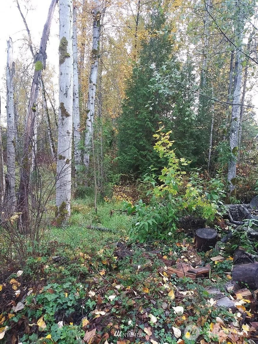 539 148th Street Property Photo 3