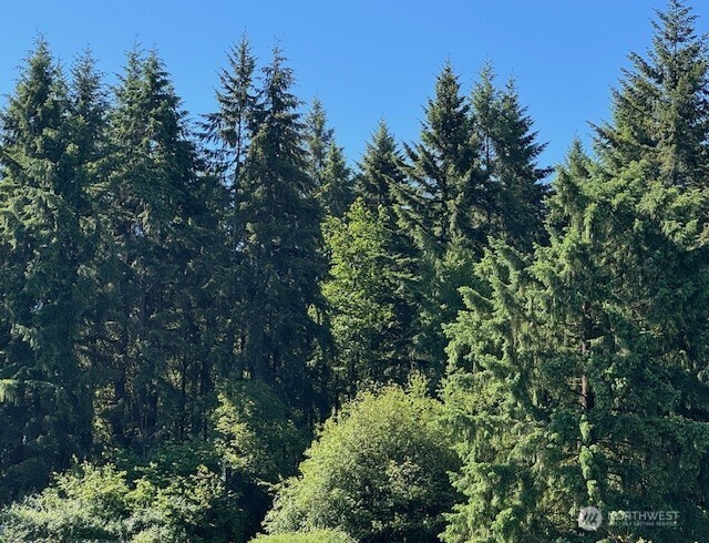 692 24 Burchett Road Property Photo 11