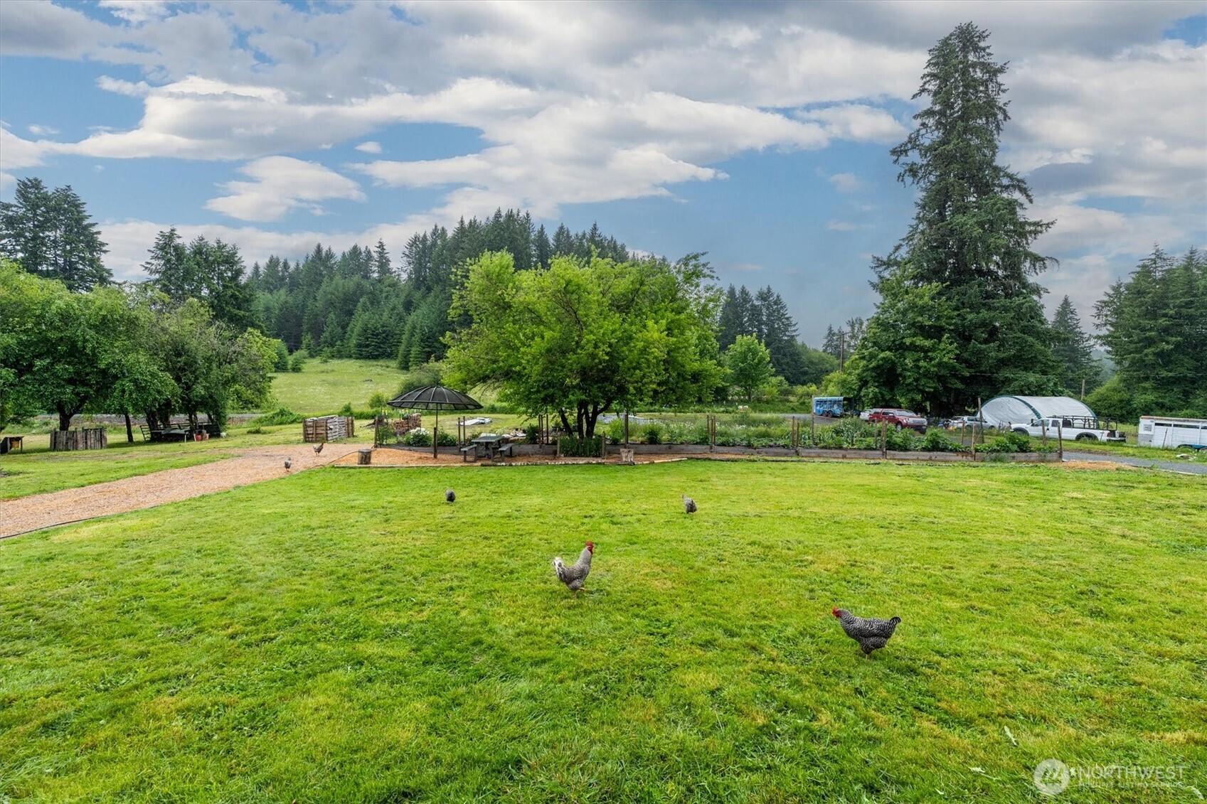 224 Brim Creek Road Property Photo 4