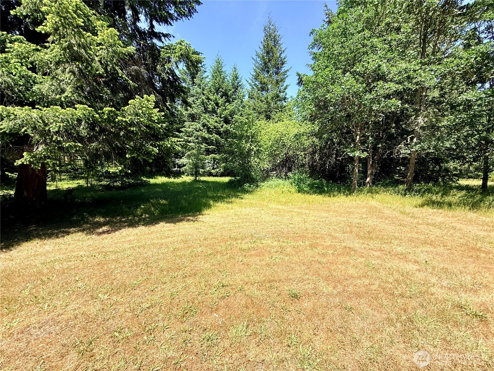 503 Centre Street Property Photo 15