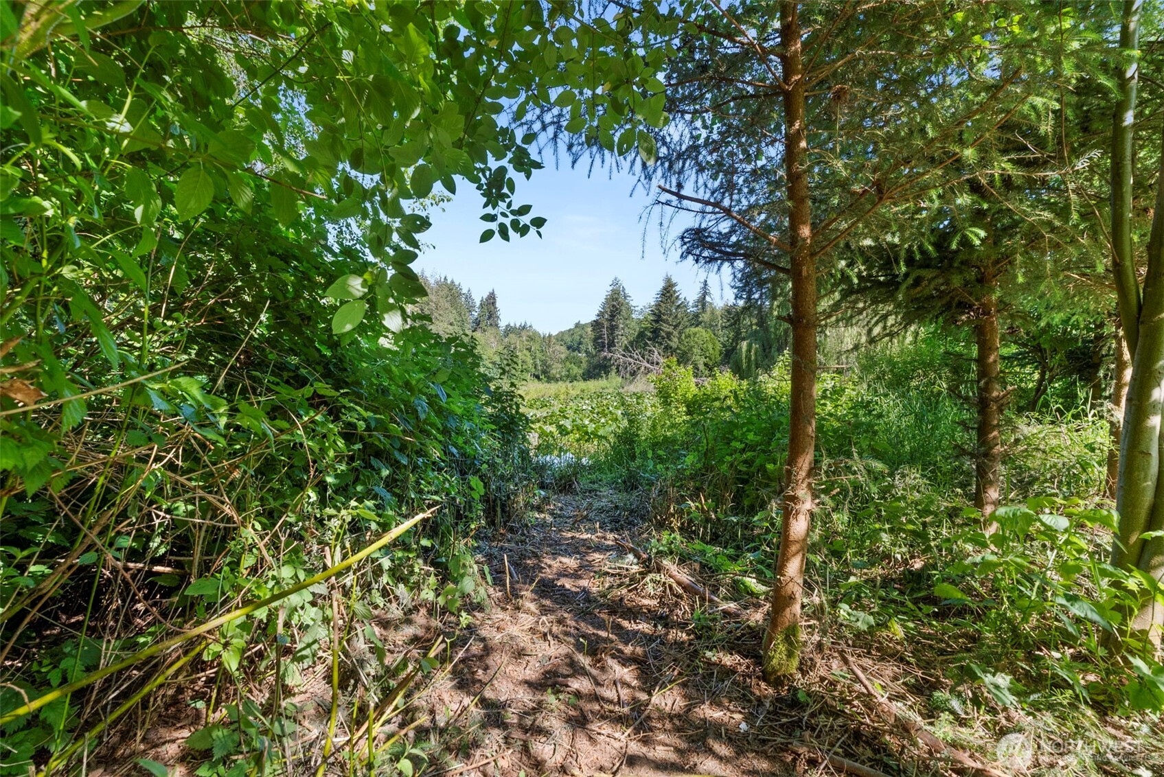 837 Pioneer Street Property Photo 34