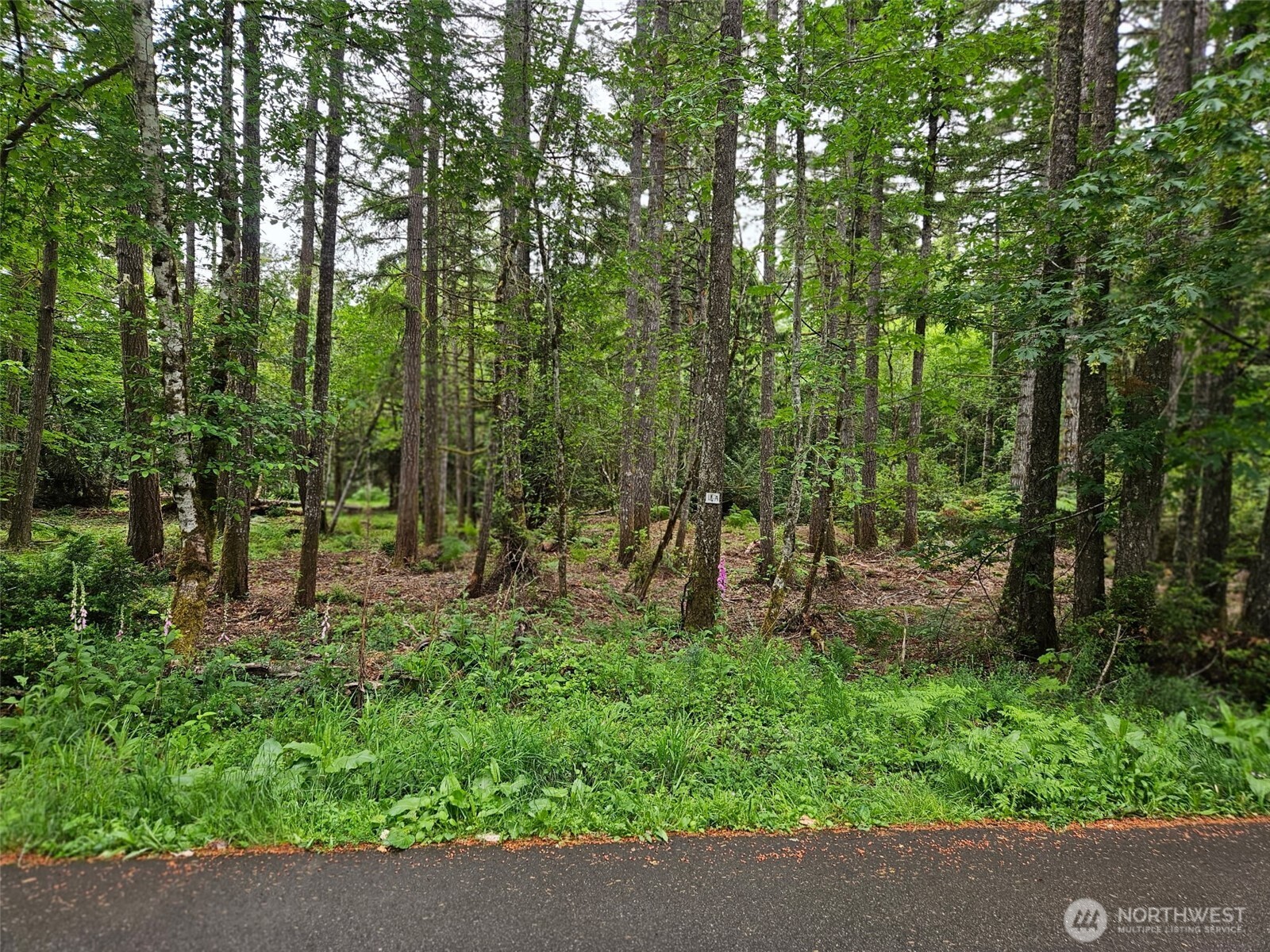 870 E Wilson Way Property Photo 1
